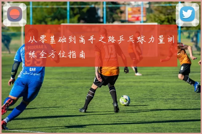 从零基础到高手之路乒乓球力量训练全方位指南
