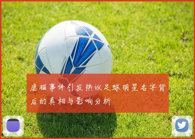 虐猫事件引发热议足球明星名字背后的真相与影响分析