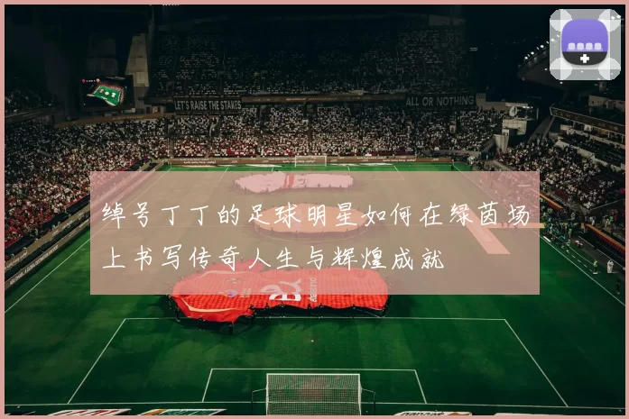 绰号丁丁的足球明星如何在绿茵场上书写传奇人生与辉煌成就