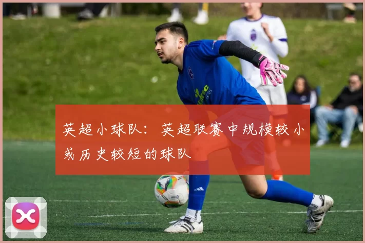 英超小球队：英超联赛中规模较小或历史较短的球队