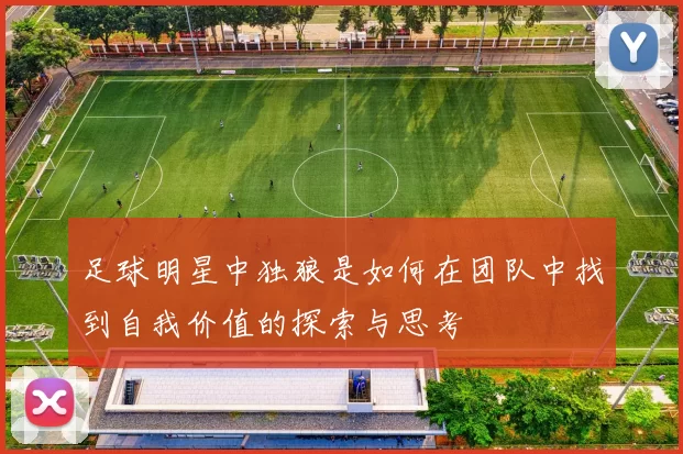 足球明星中独狼是如何在团队中找到自我价值的探索与思考