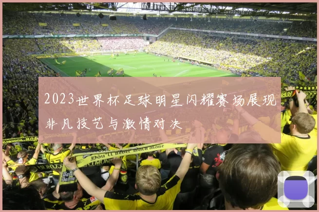 2023世界杯足球明星闪耀赛场展现非凡技艺与激情对决