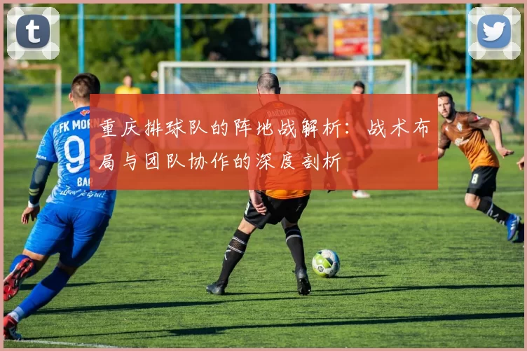 重庆排球队的阵地战解析：战术布局与团队协作的深度剖析
