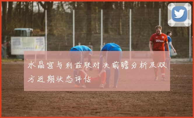 水晶宫与利兹联对决前瞻分析及双方近期状态评估