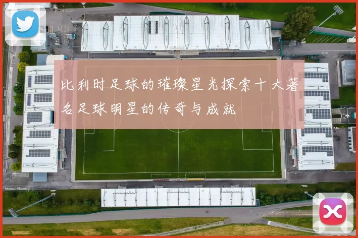 比利时足球的璀璨星光探索十大著名足球明星的传奇与成就