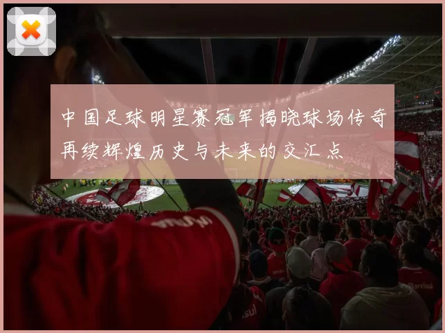 中国足球明星赛冠军揭晓球场传奇再续辉煌历史与未来的交汇点