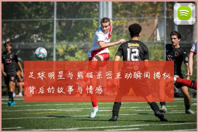 足球明星与熊猫亲密互动瞬间揭秘背后的故事与情感