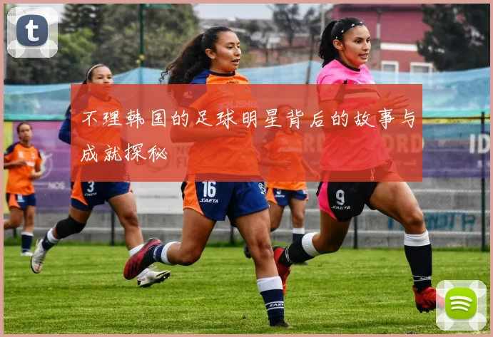 不理韩国的足球明星背后的故事与成就探秘