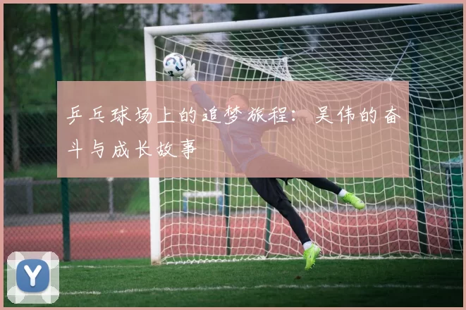 乒乓球场上的追梦旅程：吴伟的奋斗与成长故事