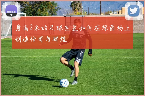 身高2米的足球巨星如何在绿茵场上创造传奇与辉煌