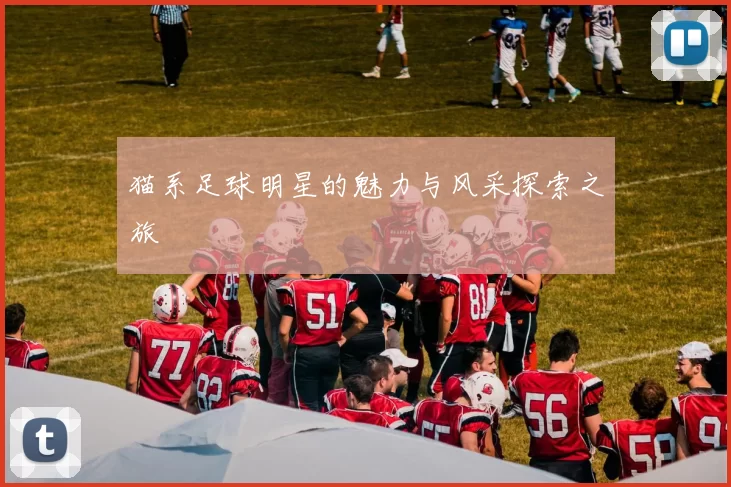 猫系足球明星的魅力与风采探索之旅