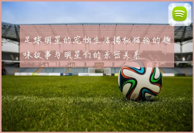 足球明星的宠物生活揭秘猫狗的趣味故事与明星们的亲密关系