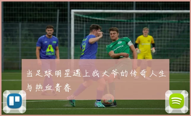 当足球明星遇上我大爷的传奇人生与热血青春