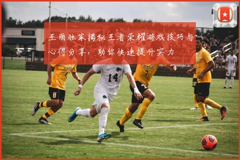 王丽独家揭秘王者荣耀游戏技巧与心得分享，助你快速提升实力