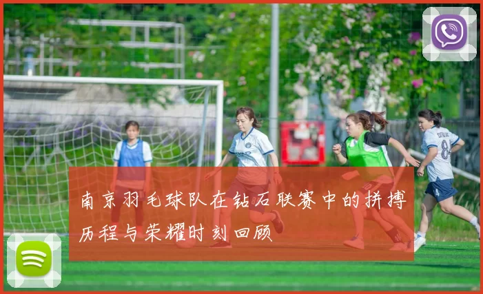 南京羽毛球队在钻石联赛中的拼搏历程与荣耀时刻回顾