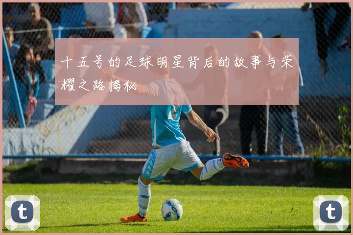 十五号的足球明星背后的故事与荣耀之路揭秘