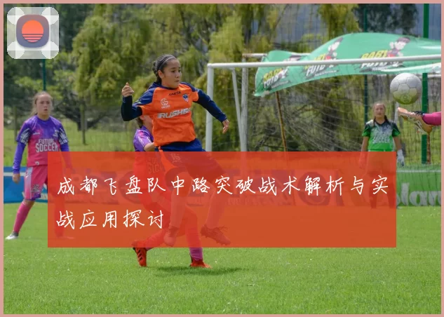 成都飞盘队中路突破战术解析与实战应用探讨