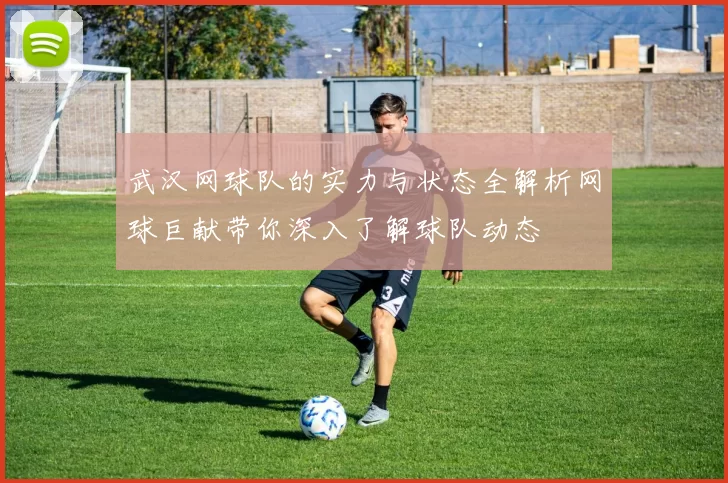 武汉网球队的实力与状态全解析网球巨献带你深入了解球队动态